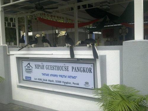 Nipah Guesthouse Pangkor Pekan Pangkor Extérieur photo